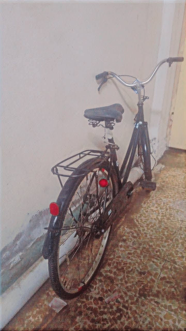 بايسكل حجم 26 مصبوغ شرط نضيف نقصو بس اصطاب خلفي سعرو 50الف وبي مجال الطيبين اليريد يجي خاص


**إذا كنت صاحب هذا الإعلان وتريد حذفه لأي سبب، رجاءا أرسل رسالة إلى الدعم الفني**