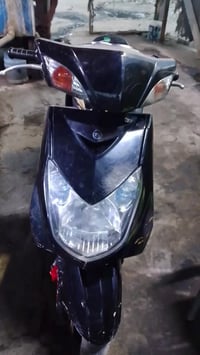 سكنس فحل • مفتوح • حله نادر