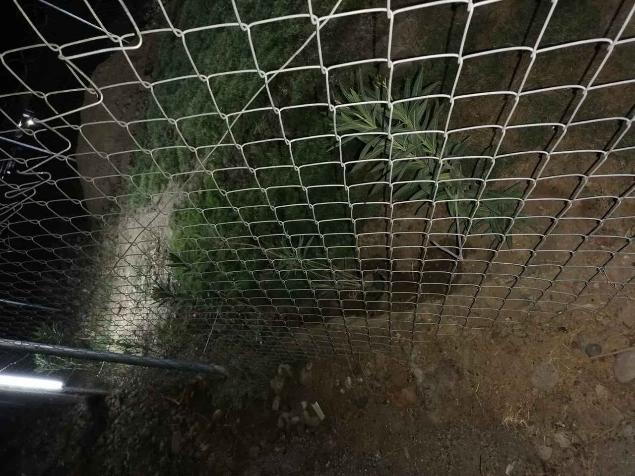 اقرى تفاصيل كاملة. 
متاح سياج BRC حديد مشبك. 80متر. الارتفاع 180
مع 14بوري  سعر الكلي. 200 الف  مع ملحقاته والأسلاك  بي مجال بسيط الصور مرفقة بل منشور
العنوان /موصل الايمن شراي يتفضل خاص 
#ملاحظة_بيع_سياج_كامل_بل_دررجة_مابيع


**إذا كنت صاحب هذا الإعلان وتريد حذفه لأي سبب، رجاءا أرسل رسالة إلى الدعم الفني**