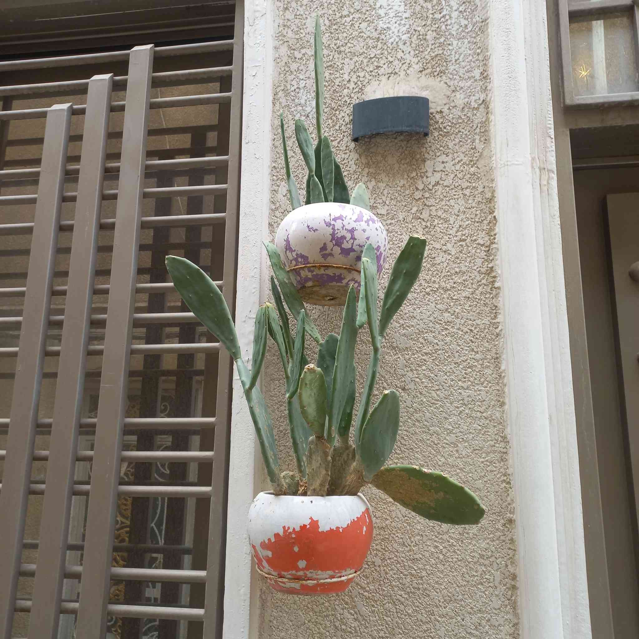 سلام عليكم زرع للبيع


**إذا كنت صاحب هذا الإعلان وتريد حذفه لأي سبب، رجاءا أرسل رسالة إلى الدعم الفني**