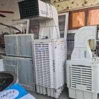 طوريج الرجيبه • قرب الجنسية • إلكترونيات