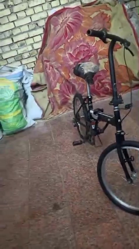 بايسكل كسارة للبيع المكان الناصرية مركز السعر خاص


**إذا كنت صاحب هذا الإعلان وتريد حذفه لأي سبب، رجاءا أرسل رسالة إلى الدعم الفني**