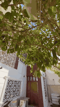 السلام عليكم
دار للبيع في منطقة حي الجامعة قرب كليه طب الاسنان المساحه 212.5
متر
يحتوي على اربع غرف وصاله وهول كبير ومطبخ ومجمعات صحية ملاحظة البيت يقع على شارعين بلوك منفرد
السعر 620 مليون
الاتصال ***********
