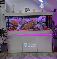 حوض متر ونص • فلتر سامب • ديكور صخري