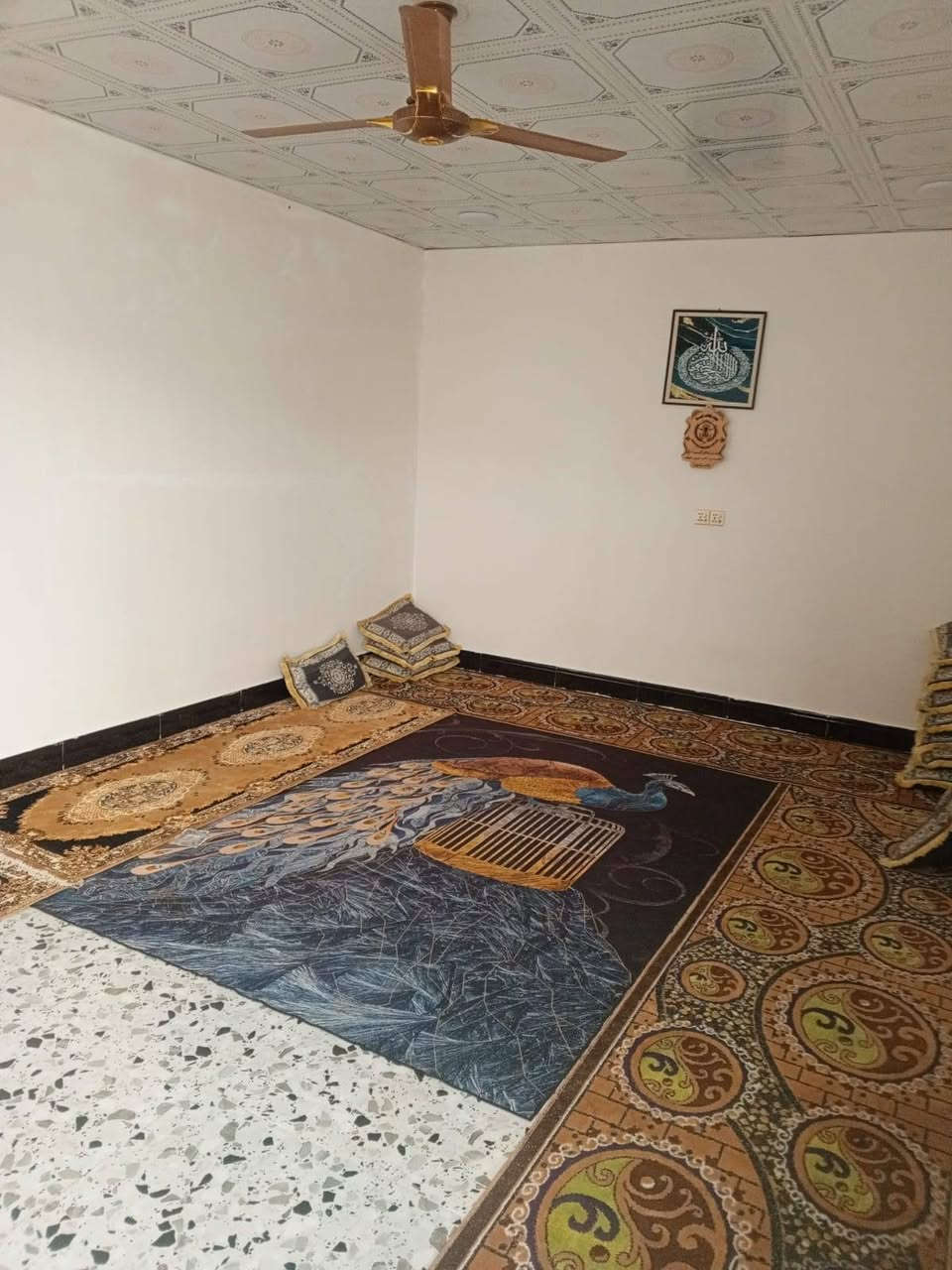 سلام عليكم يوجد أرض زراعيه البيع المساحة معء بيت  نص دونم العنوان كوت اليوسفيه  للاستفسار الاتصال ***********
