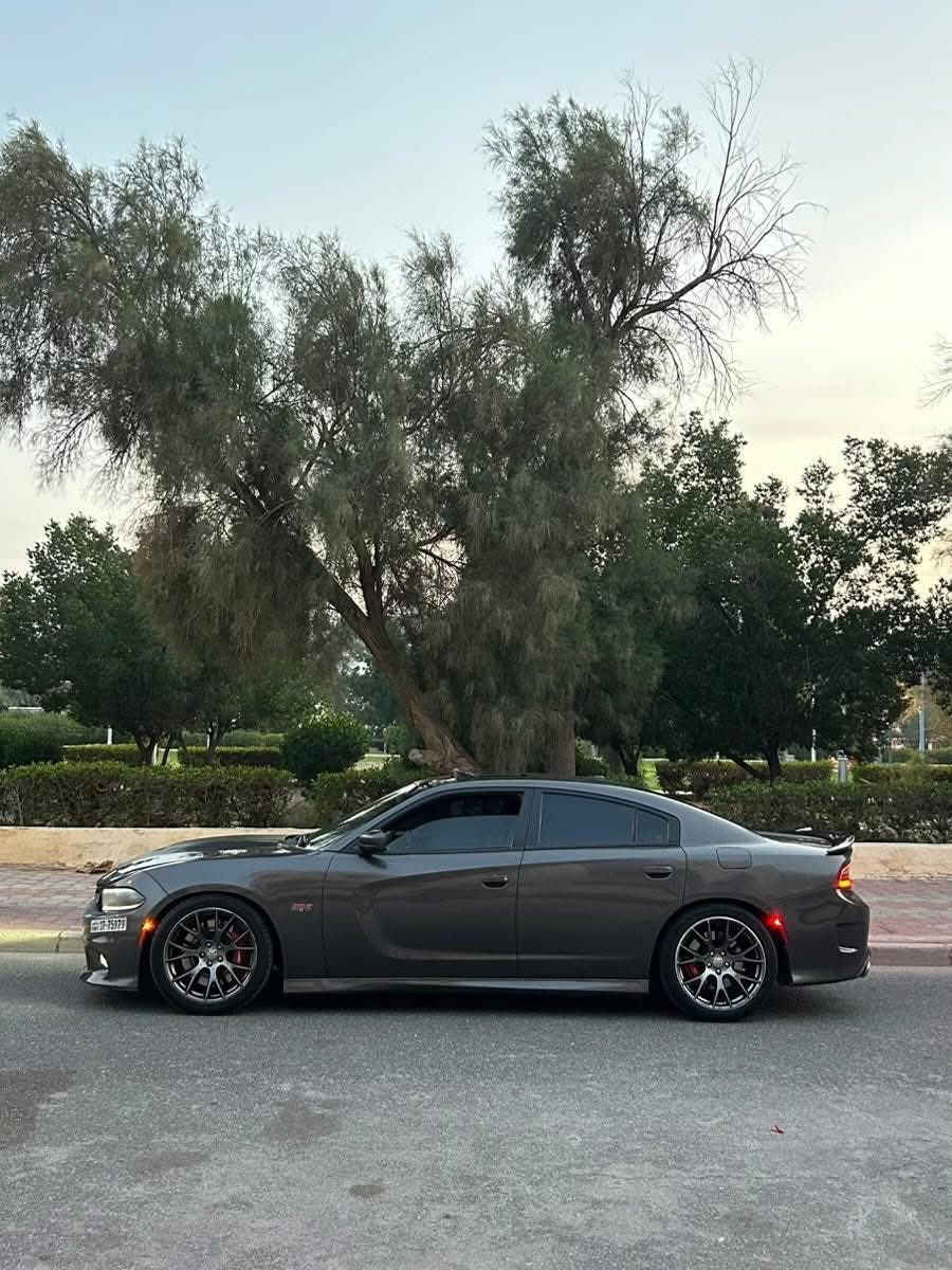 للبيع تشارجر  SRT اصلي 
‎مديل 2015 وراد الكويت 6.4 
يوجد تصريح قزوز جديد 2026 مختوم من مرور ووكاله
‎
شرط الفحص قير مكينه شاشه
‎ 
مسجل ب الدفتر لونين مواصفات : 
‎ 
رادار ،، مانع اصطدام ،، نقاط عمياء ،، 4 مودات سبورت ،، تبريد تدفئة كشنات ،، تحديد مسار ،، تدفئة 
سكان ،، كاميرا خلفيه ،، نفقيشن ،، فتحه ،، كشنات مع لوقو SRT  ،، سناسر خلفيه ،،  ماشي 210 كيلو مفتاحين وكاله 
م يحتاج شي الموتر اموره طيبه

السعر 4:200 دينار كويتي 

#الكويت #سلطنه_عمان #الامارت #البحرين #قطر #امريكا #الرياض #سوريا #ليبيا #بنغازي  #طرابلس #الخمس #زليتين #ليبيا #بنغازي  #طرابلس #الخمس #زليتين #ليبيا #بنغازي #طرابلس #الخمس #زليتين #ليبيا #بنغازي #ليبيا #مصراته #طرابلس #الخمس #زليتين #دمشق #بغداد #العراق #اليمن #صنعاء #حمص #حماة #درعا #سوريا #الموصل #اربيل#العراق #البصرة #حلب #تونس #الجزائر #المغرب #الرباط #موريتانيا #ليبيا #سوريا #دمشق #العراق #كركوك #سليمانية #فلسطين #فلسطين #رام الله #بيروت #الناصرة #العراق #الرمادي #الأنبار #تكريت


**إذا كنت صاحب هذا الإعلان وتريد حذفه لأي سبب، رجاءا أرسل رسالة إلى الدعم الفني**