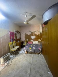 نجف شارع المطار • دار ١٥٠م • حديقة