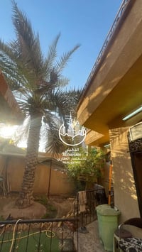 البصرة الخضراء • ٢٤٠م • طابو ملك صرف
