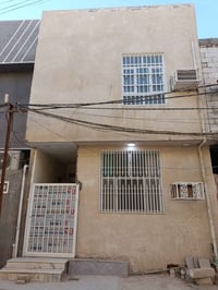 البوبيات عمود٩٩ • ٥٠م • مؤثث