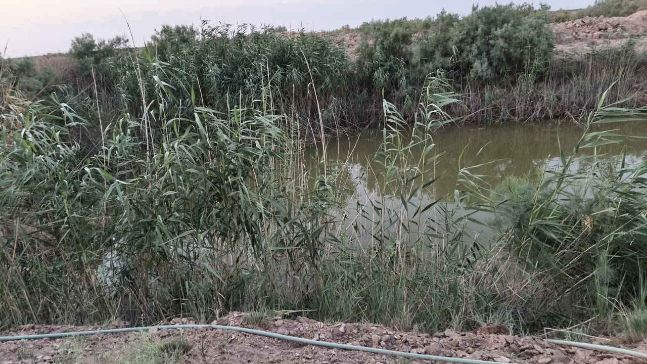 سلام عليكم أرض زراعية للبيع مساحة 200 دونم + بيت كامل مساحة 300  سندويج +بيت ثاني 150متر عگاده مع حقل كامله ماي +كهرباء +موطور جهاز+كاروبه بدواته كامله تبعد عن الشط كيلو فقط سعر 225 مليون مكان العمارة قضاء الميمونة  تواصل خاص او ***********
