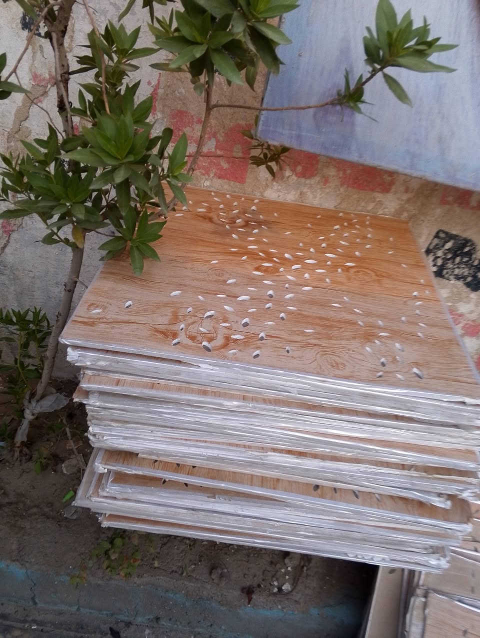 سقف ثانوي  بورك سعر القطعه 1500 
الف اونص 
***********
