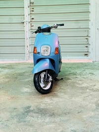 ماكس بوليس • كفالة عامة • كربلاء كنطرت السلام