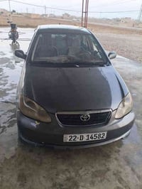 كورلا نحله • ٢٠٠٧ • رقم اربيل