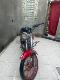 شاينك • ٢٠٢٥ • مامفتوح