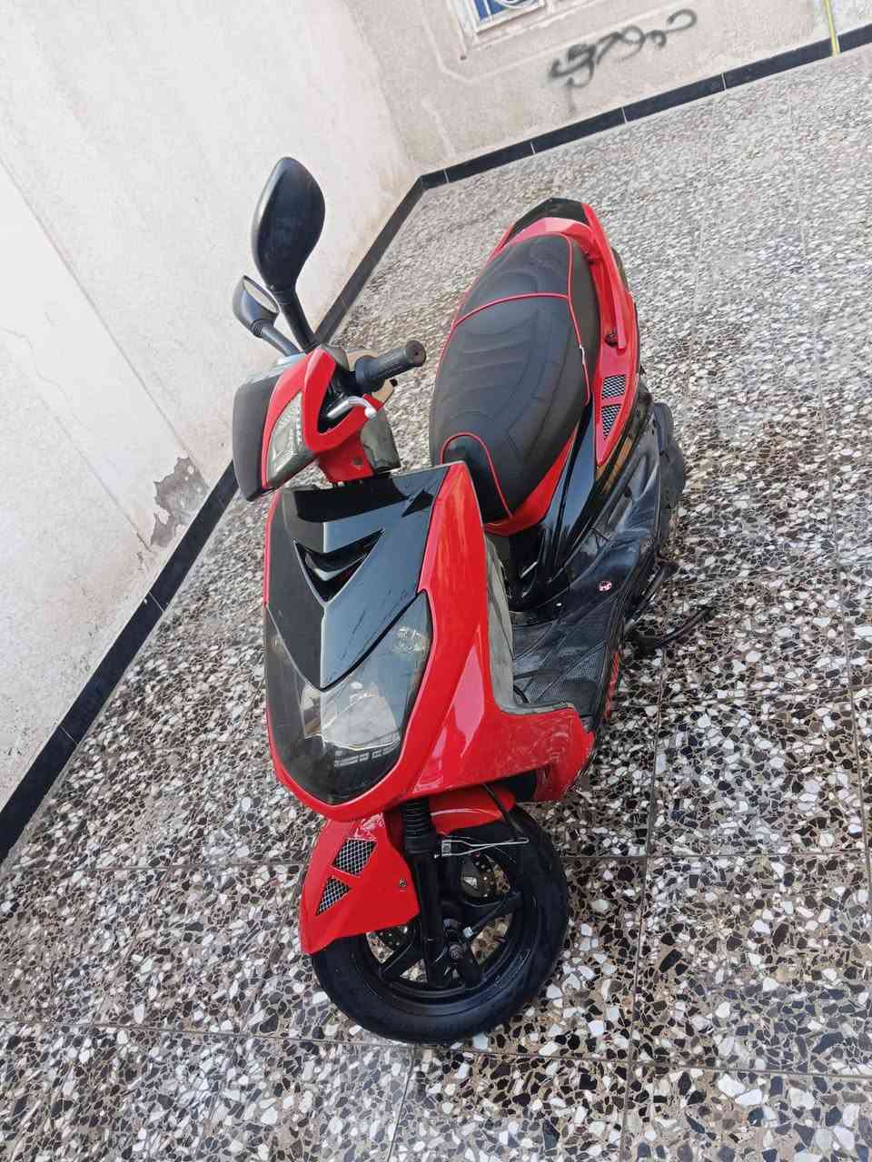 سلام عليكم سكنز فحل يباني كفاله عامه تجي تاخذه من باب البيت مكاني بغداد الشعله رقمي *********** غير متوجد على فيس فقط ابيع ماروس
