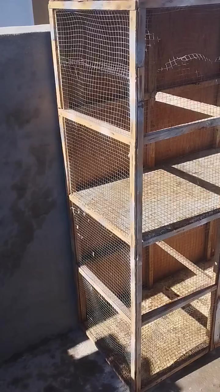 قفص خشب درجه اولى قوي جدا
السعر 45 بيها مجال 
للتواصل خاص او ***********
