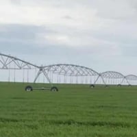 مرشه محوريه • ٨٠دونم • موصل ايسر