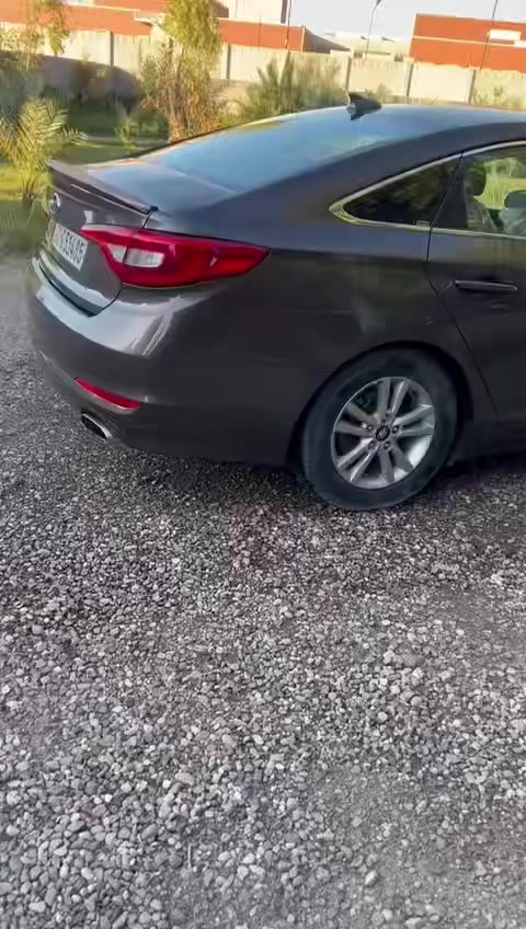 2017 بس دعاميه صبغ كربلاء سعر ١٢٥ وبيها مجال ***********
