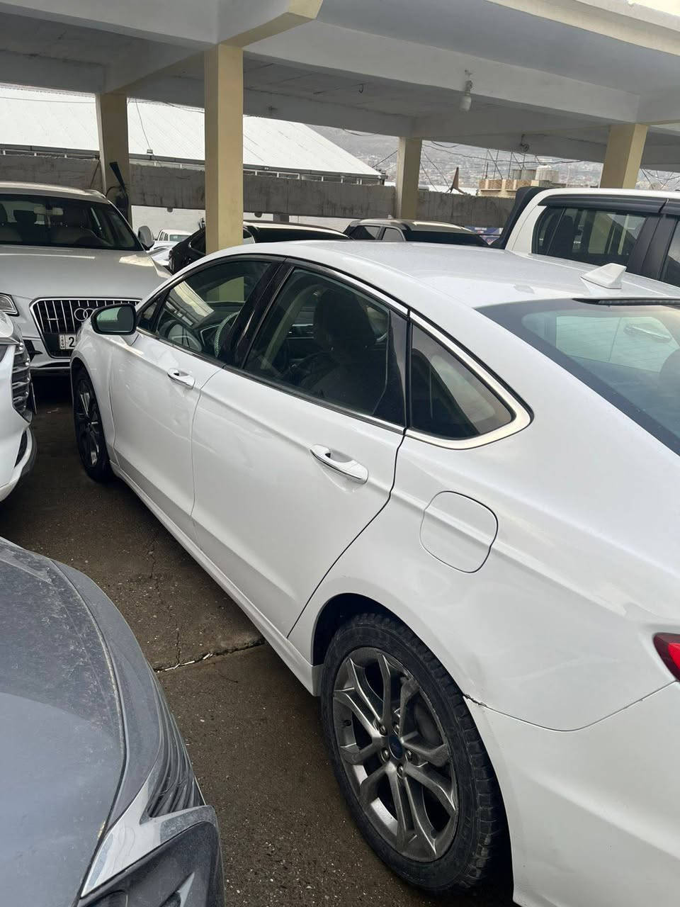 السلام عليكم...
فورد فيوجن  SEL
الموديل :- 2019
حجم المحرك :- 1500 تيربو 
المواصفات :- بصمة ابواب امامي/ بصمة تشغيل  / فتحة سقف / كشنات جلد وكهرباء /كشنات هيتر / كير ماوس / رادار امامي / تحديد مسار / تشغيل عن بعد
 ..وباقي مواصفات الSEL المعروفة 
السعر:- $13,500 وبيها مجال تعامل
الممشى :-  107000 ميل  وقابل للزياده
الضرر ربع بوند صبغ بدون ايربك 
 مكانين تعديل بارد والدعانية الخلفية
 تحويل مباشر  
للمزيد من المعلومات الاتصال على الارقم ويوجد واتس اب :- 
***********
