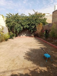 تنظيف حدائق • دفن اليريد