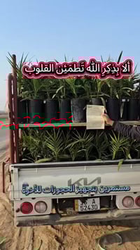 للحجز والتواصل 07735350283