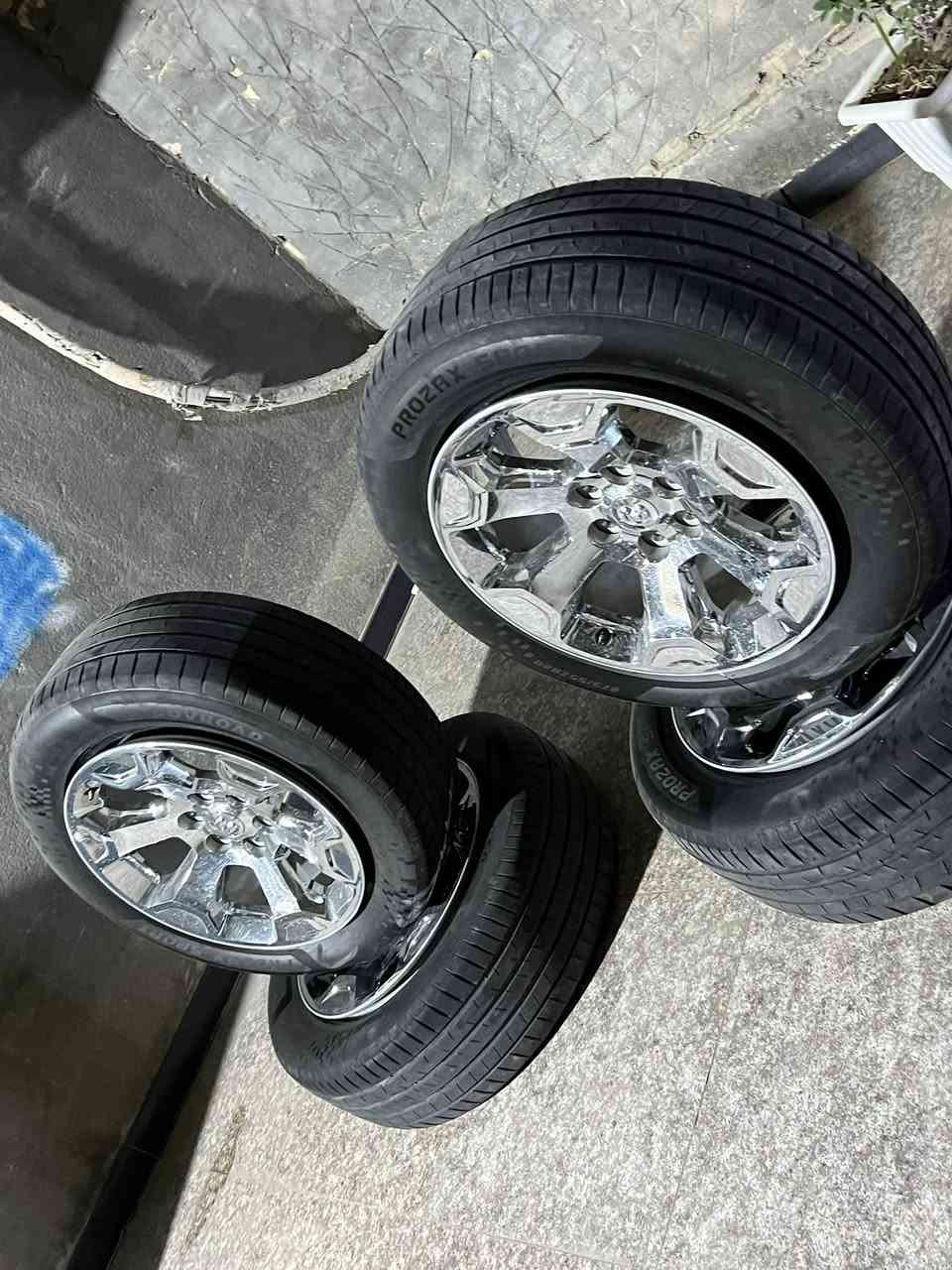 ويل رام اصلي البلادي 🔥تخم تواير جديدات الاصليات للبيع 🔥💯
‏***********
