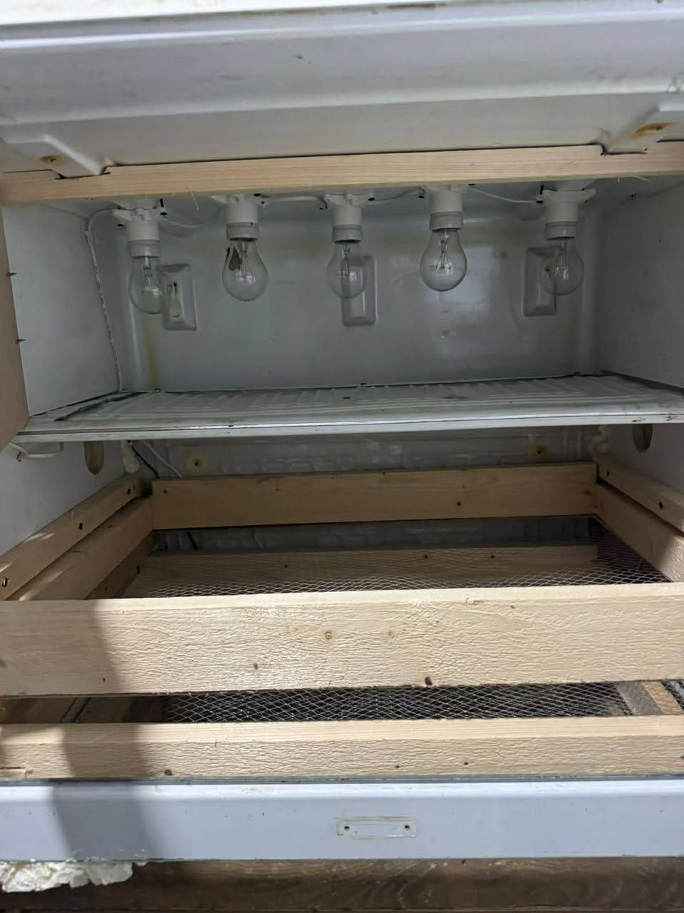 مفقس بيض عدد ٢ مامستخدمات تسع ١٠٠٠ بيض دجاج و٤٠٠٠ بيض سمان الوجوه ٢٥٠ الف 
٩هم مكلفهم مليون ونص اربيل مناره


**إذا كنت صاحب هذا الإعلان وتريد حذفه لأي سبب، رجاءا أرسل رسالة إلى الدعم الفني**