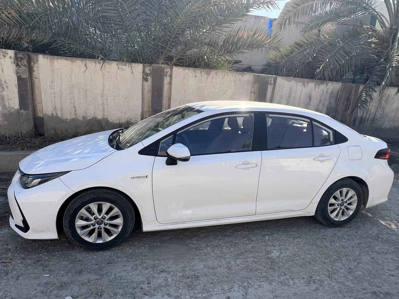 السلام عليكم
كورلا 2024 هايبرد ماشيه 60 الف عدا الفتحه
رقم بابل مكاني بابل الحله كشنات مشمشي ب150$
رقمي ***********
