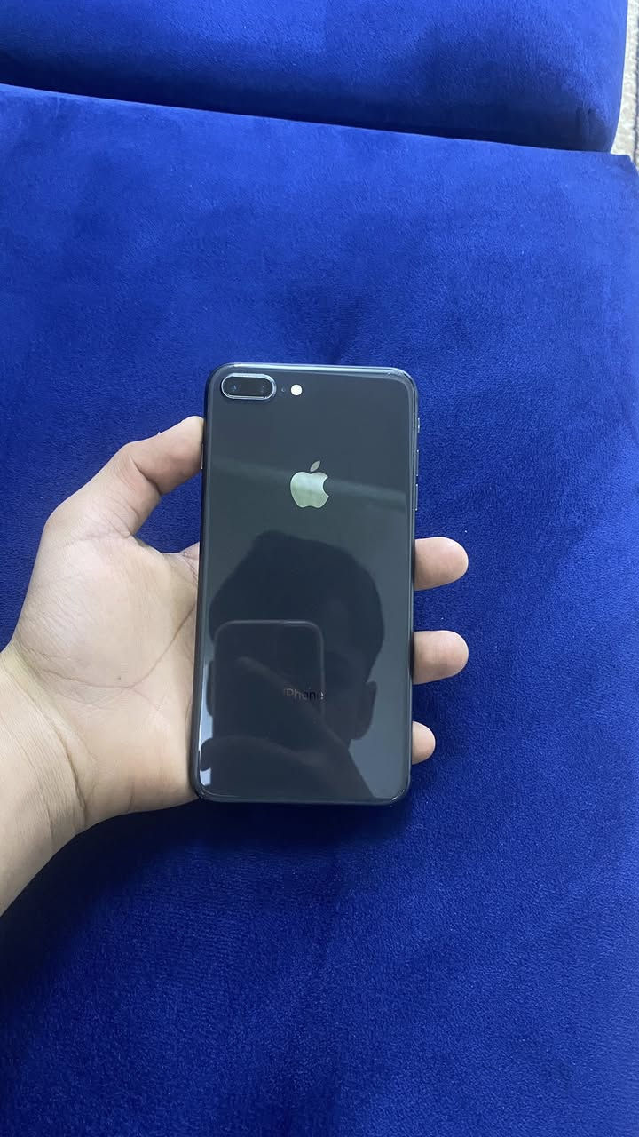 السلام عليكم ايفون ٨ بلص للبيع شغال كامل ما مفتوح وضع شركه ما محطوط عليه درنفيس ذاكره ١٢٨ بطارية ٧٦ كلشي ما مبدل بيه ادفع سعر عجبني ابيعك التواصل عل خاص


**إذا كنت صاحب هذا الإعلان وتريد حذفه لأي سبب، رجاءا أرسل رسالة إلى الدعم الفني**