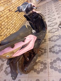 جامبو • صيني • شغاله