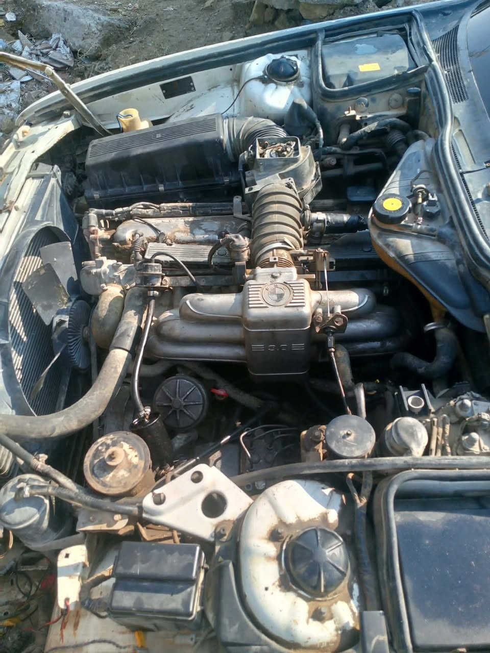 سلام عليكم البيع او مراوس. حسب القناعه  ***********
