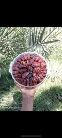 تمر مكبوس • بسطل • ٢كيلو