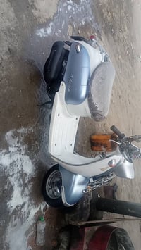 دراجة عبد الحليم كلاسيك • كفالة عامة • كفرات مشمشي