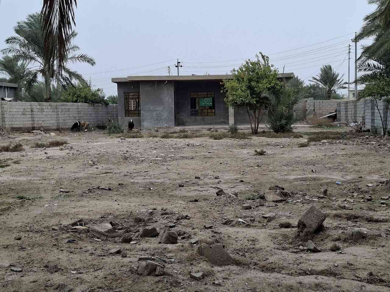 السلام عليكم يوجد أرض زراعيه عقد المساحه دونم ونص متوفره كافه الخدمات معه بيت بناء حديث وجهة الشارع السعر ١٠٠ مليون وبي مجال واسط الحفرية شويفي ***********
