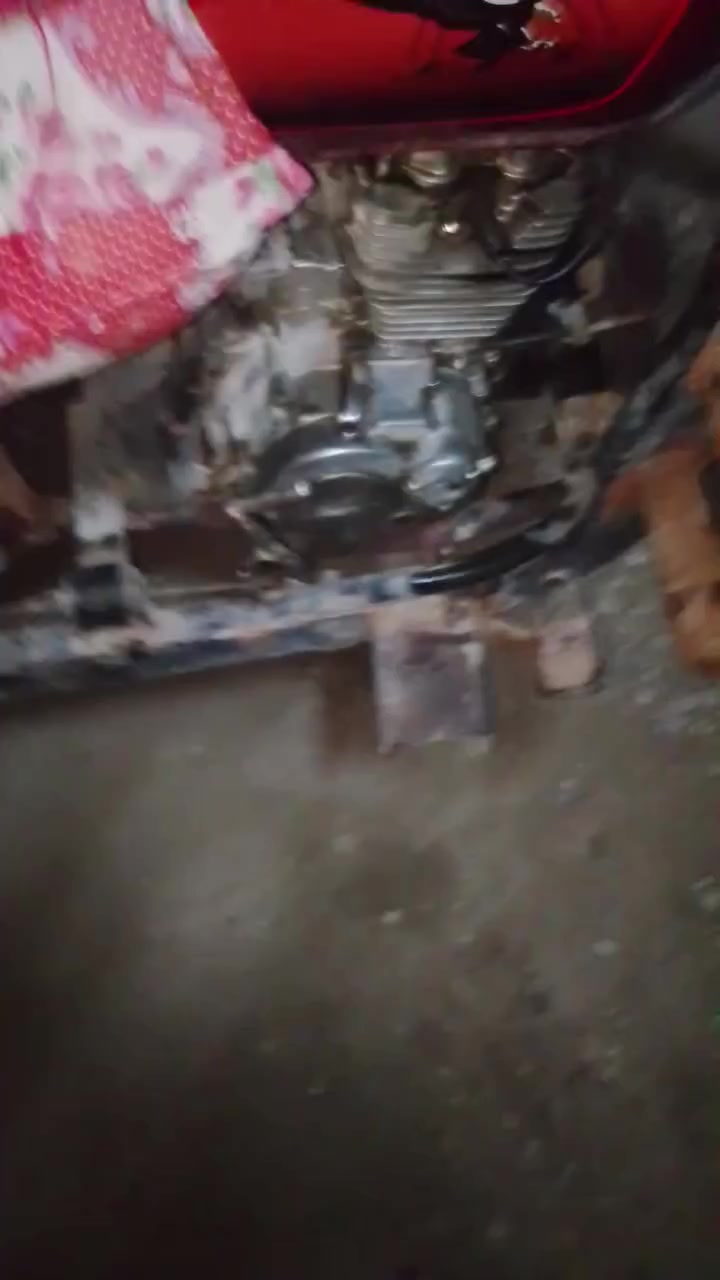 سلام عليكم شباب ستوته البيع كلك كلك اليريده انا بخدمته مكاني واسط الشحيميه قريت النصر السعر 650 وبه مجال الطيبين


**إذا كنت صاحب هذا الإعلان وتريد حذفه لأي سبب، رجاءا أرسل رسالة إلى الدعم الفني**