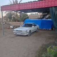 ما مسجل • ما مگصوص • نظيفه حيل