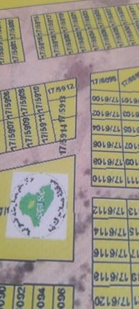 الديوم • منطقة ٦٠٠٠ • ١٠٠م