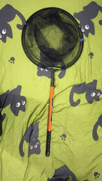 السلام عليكم حياكم الله خوان عندي ذني المعدات مال صيد شلعه كامله

1-شبجه طول ٣ امتار سلايت شبجه قماش مرتبه حديد

2- شبجه  طول ١٢٠ تقريبا شبجتهه نايلون ومتانه فول وزن خرافي قطعه كلش حلوه

3- وخيمه ٢*٢ طباگه لونهه رصاصي نفس الي بالصوره فرق اللون فقط 

4-وسناره طول ١٨٠ سم مع مكينه وخيط وخداعات ودنابيس كامله مكمله تركيب مو سلايت 

السعر 70 الف دينار عراقي 

❗️ الرقم ***********
