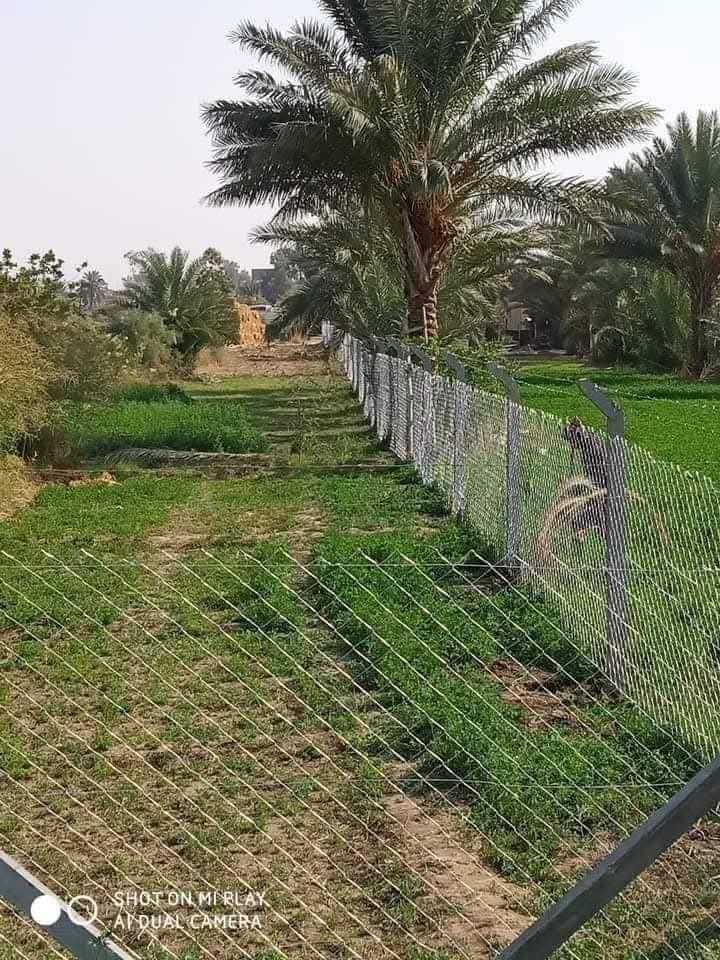 سلام عليكم عمل ونصب سيجه بيارسي بسعر مناسب  كافت المحفضات  التصال *********** واتساب
