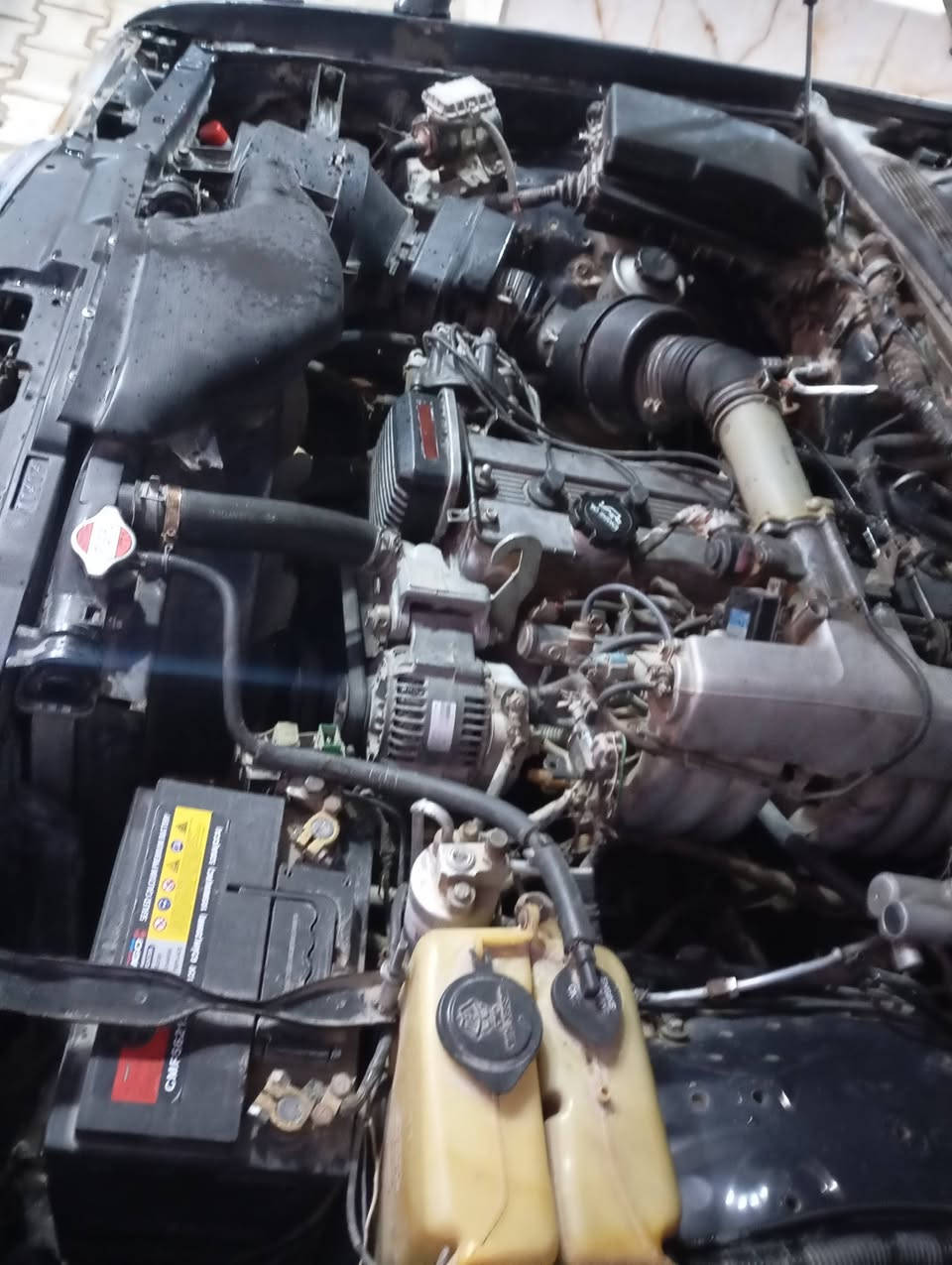 اسلام عليكم ورحمه الله ارنب فنصه مكفولة من الكصه أو نقل جثه مصبوغه حزام تبريد شغال مكينه أو كير خير من الله عدي وكالة عامه بيه موديل 1992 مكاني نجف الاشرف السعر 58 أو مجال بصيط ***********
