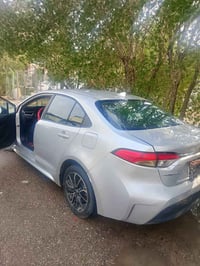 هاتف 07700785585 07829866622 بغداد, العراق