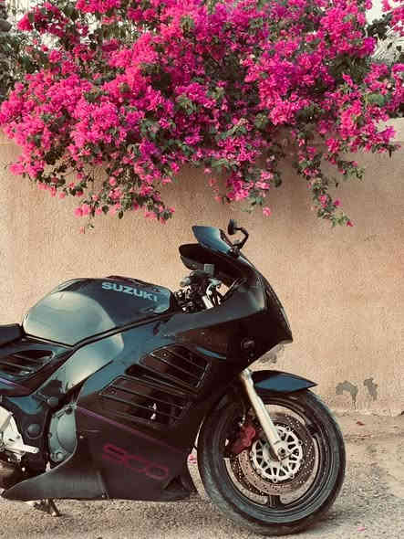 سلام عليكم ورحمه الله وبركاته
بطح قرش 900 بيه صوت بكن خفيف حيل حته مامأثر عله دراجه دراجه كامله أوراق وكمرك كامل واكفه عله بصمه التحويل دراجه جاهزة من كلشي نكرة سلف
15$وبيه مجال 
 العنوان /الانبار الرمادي
رقم/***********
