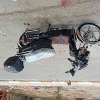 شحن • هارلي • ٢٠٢٣