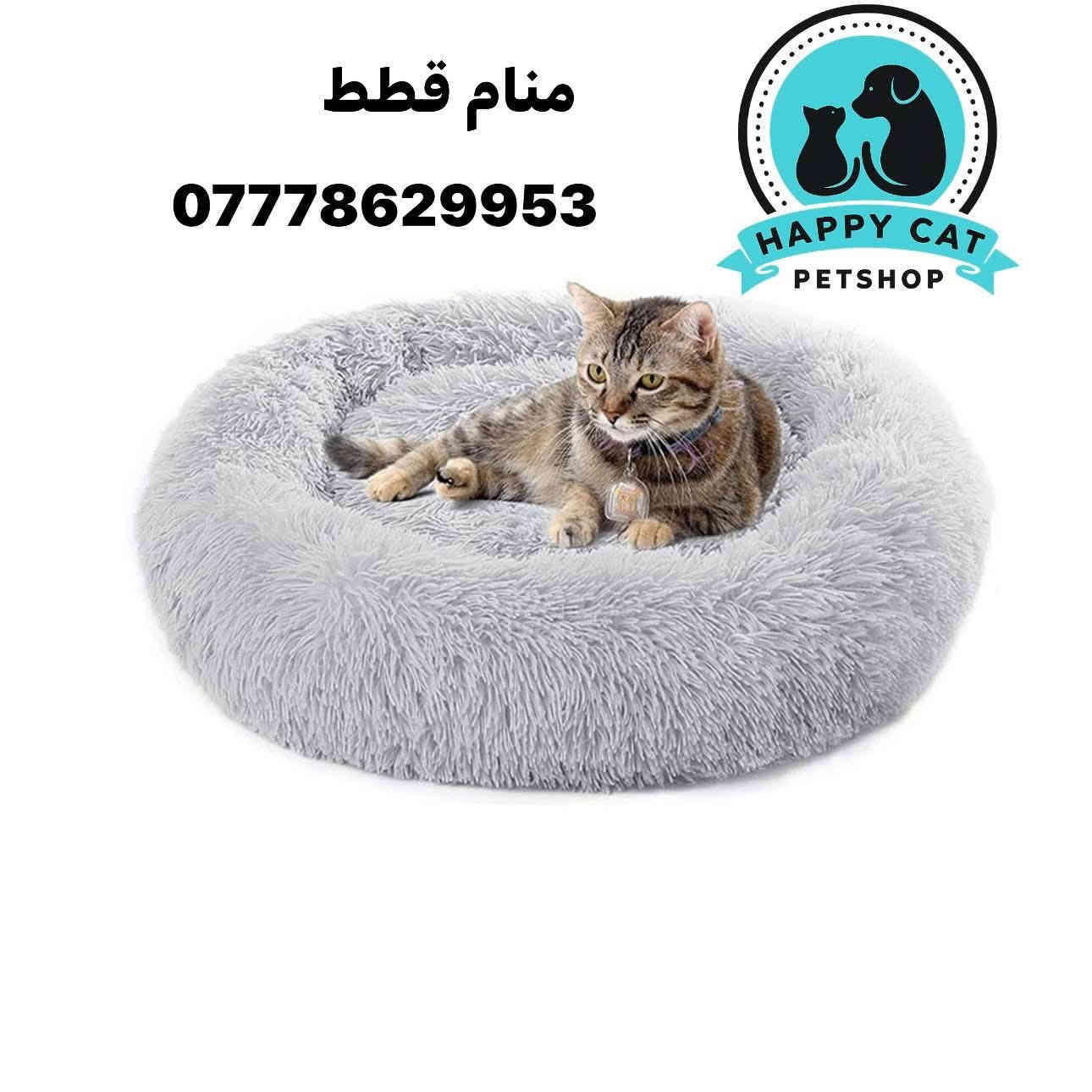 متابعينا الاعزاء🩵🩵متوفر منامات قطط وحقائب نقل قطط باشكال مميزه 📌للطلب والاستفسار 📞يرجى مراسلة الصفحه او التواصل واتساب‭0777 862 9953‬
توجد لدينا خدمة توصيل🚕🚕 لجميع محافظات العراق 🇮🇶
