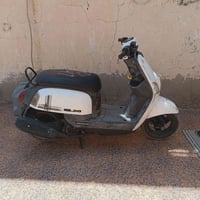 بوليسي • ٣شهور • فيس