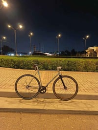 فكسد • ٥٦ • سلفر