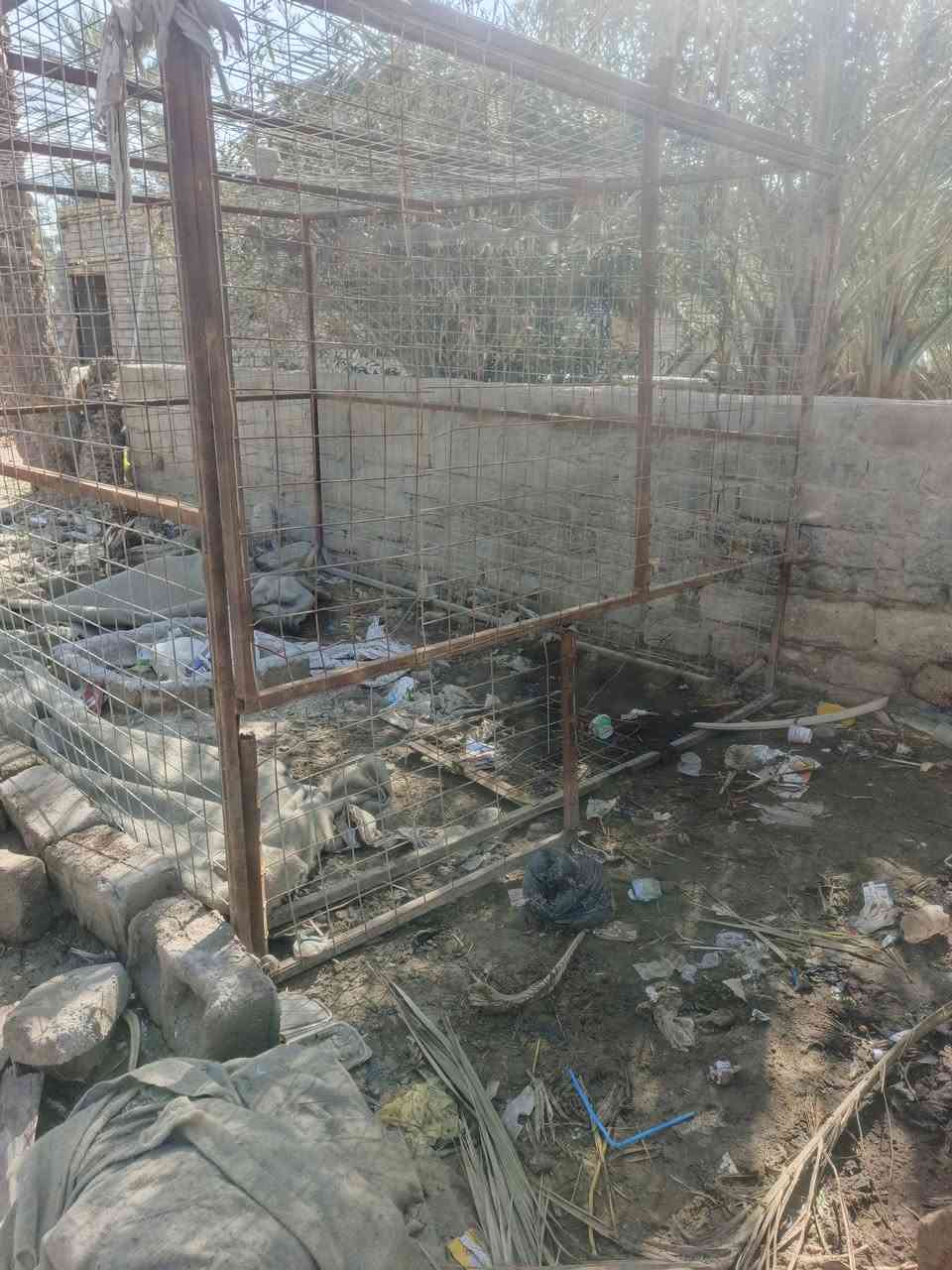 سلام عليكم قفص البيع الطول 3والعرض 2ونص والرتفاع 2ونص سعر 200وبيه مجال الشراي مكاني  سوق الشيوخ گرمة بني سعيد رقمي ***********
