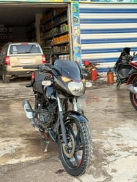 بولسر • نيون • ١٥٠