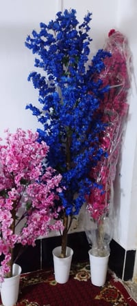 شجر • ٢.٢م • ورد كثيف