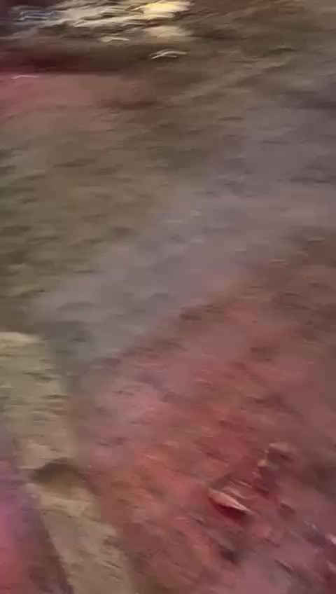 سلام عليكم لينكولن افياتور موديل ٢٠٢٠ السياره جاهزه وبأسمنه شرط التحويل تايرات مشلن كلشي على البلاد مواصفات اذا اكعد اشرح صعب اكتبهن كلهن سياره جديده وجاهزه من كل النواحي السياره فول الفول اقل مواصفه تدليك بالكشنات صور الحادث مرفقه عنوان بغداد الشعله للستفسار الاتصال على الرقم 
***********
السعر ٢٩٥ وبيها مجال بسيط
